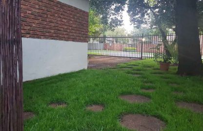 EVERGREEN SUN & SHADE LAWN SEED  (Fine texture) up to 25 sqm. of coverage