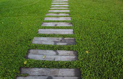 KIKUYU & EVERGREEN COMBO up to 125 sqm. of coverage 